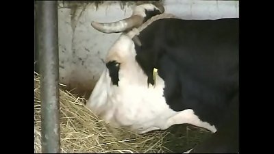 My personal passion for your yam-sized boobs! Vol. 15