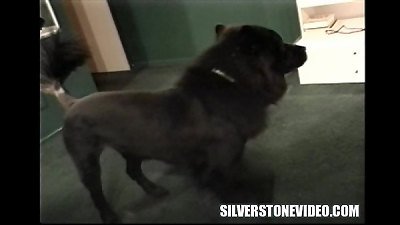 Nancy Vee shockingly Alex Dane